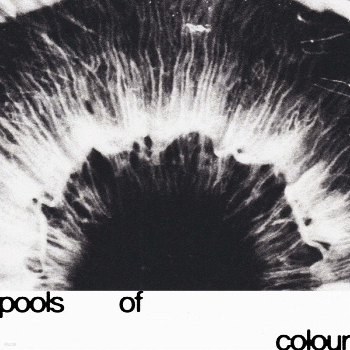 Junodream (주노드림) - Pools Of Colour [LP]