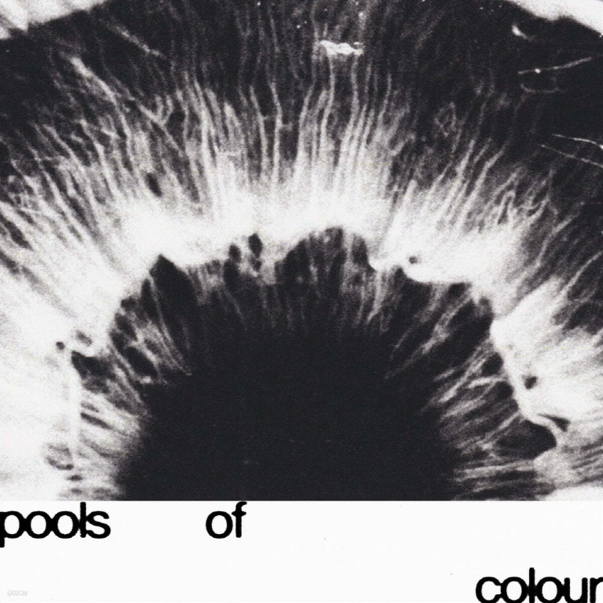 Junodream (주노드림) - Pools Of Colour 