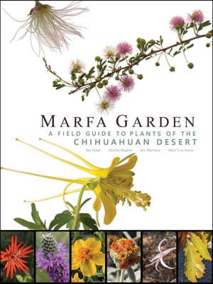 Marfa Garden: A Field Guide to Plants of the Chihuahuan Desert