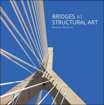 Bridges as Structural Art