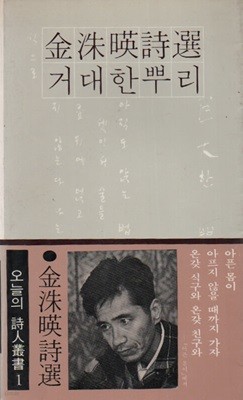 거대한 뿌리 (1984년판) 김수영저