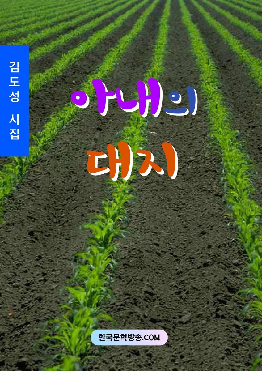 아내의 대지