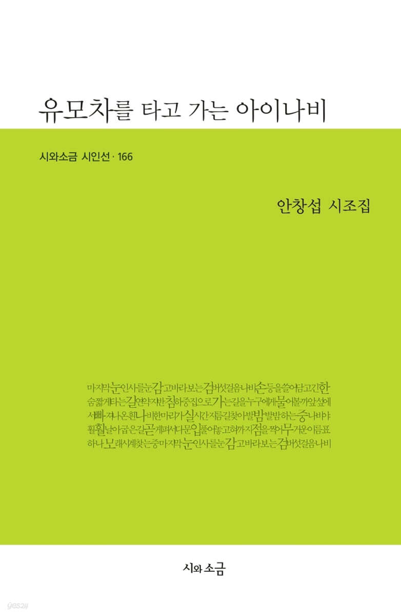 유모차를 타고 가는 아이나비