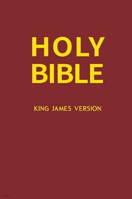 HOLY BIBLE(KING JAMES BIBLE/ǵ)