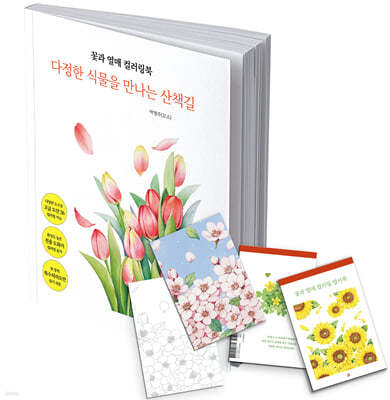 꽃과 열매 컬러링북 엽서 도안 세트