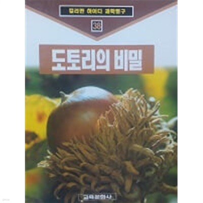 도토리의 비밀(컬러판 하이디 과학탐구 38)