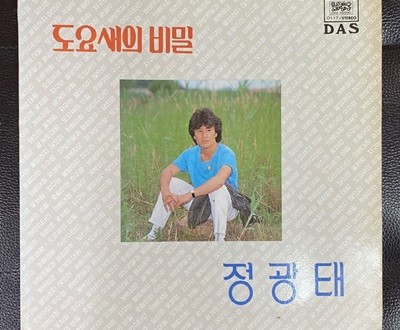 [LP] 정광태 - 도요새의 비밀,화랑관창 LP [대성음반 DAS-0117]