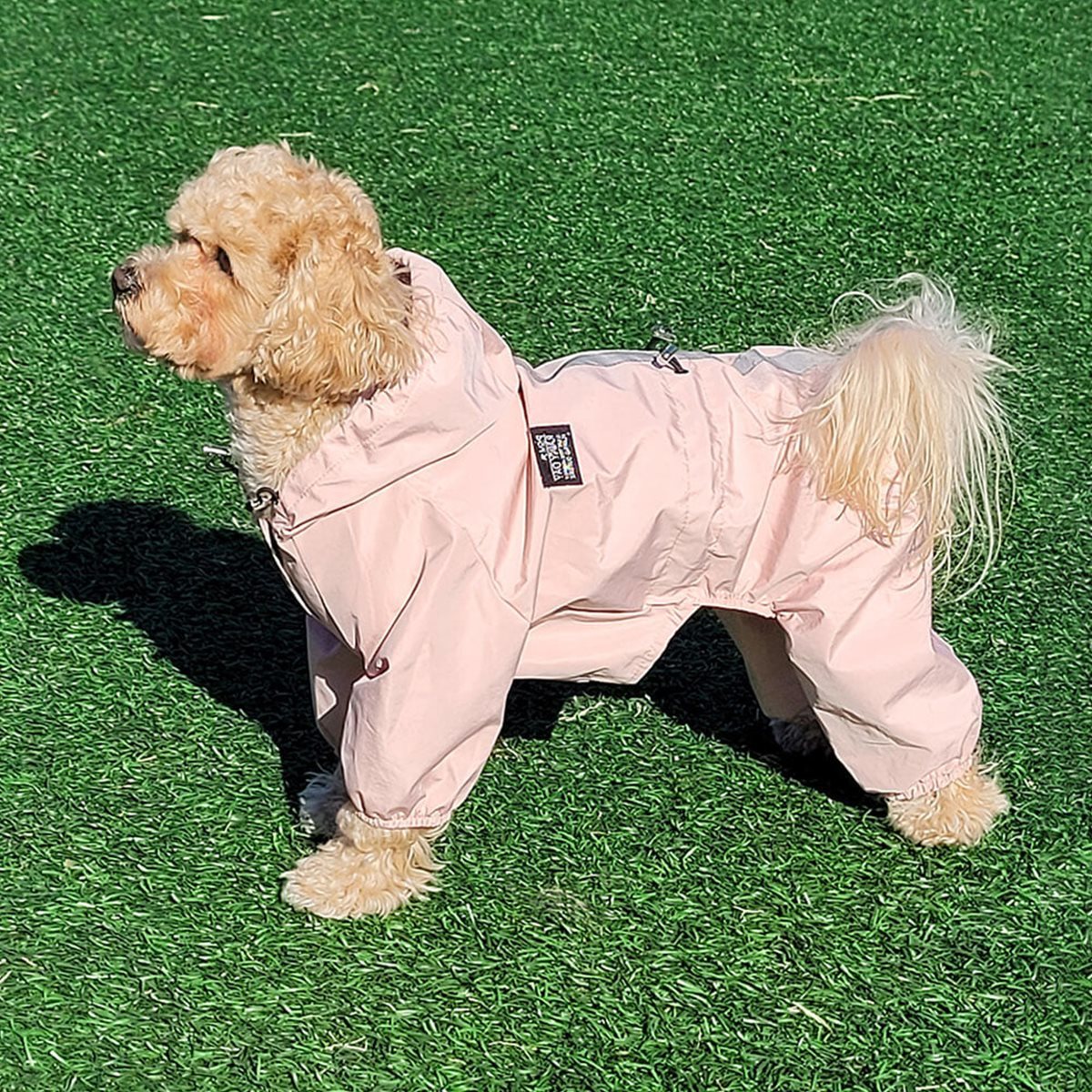 [레토] 올인원 강아지 우비 바람막이 애견 비옷 (LDR-A01)