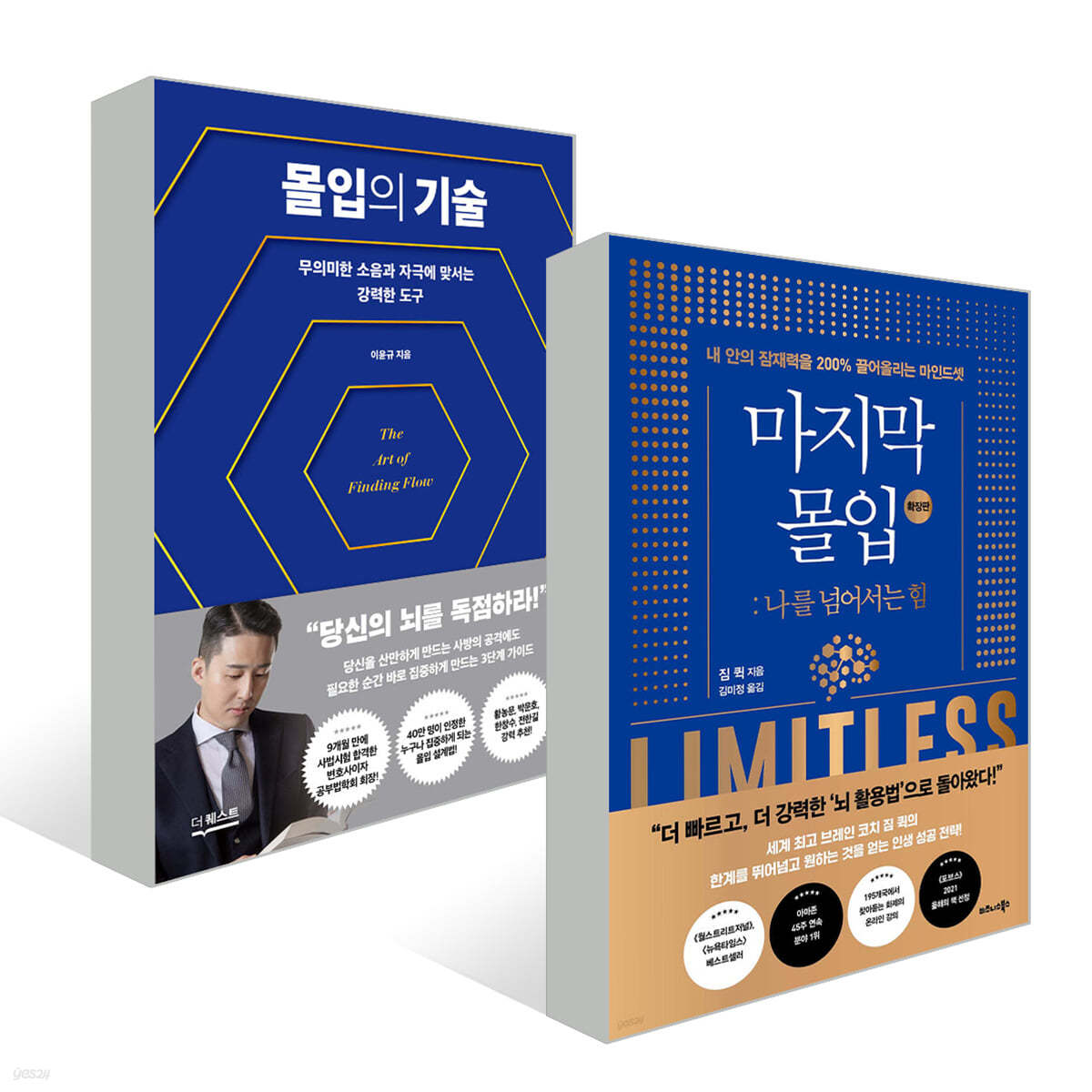 마지막 몰입 (확장판) + 몰입의 기술 세트