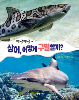 댕글댕글~ 상어, 어떻게 구별할까?