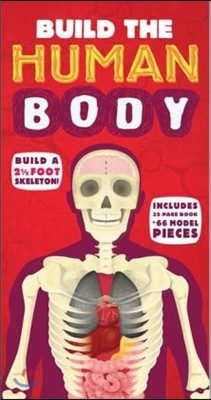 Build the Human Body