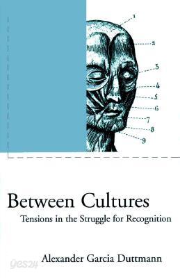 Between Cultures: Tensions in the Struggle for Recognition
