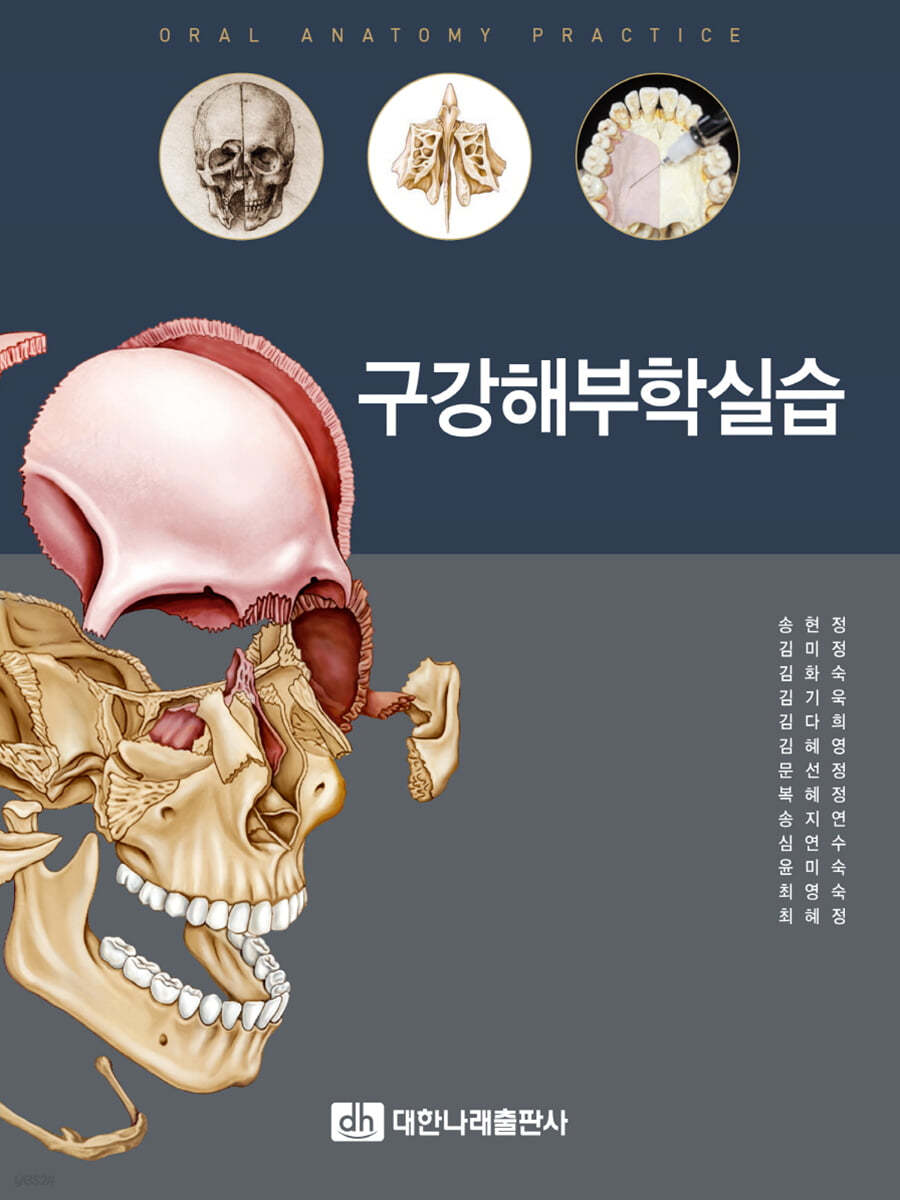 구강해부학실습