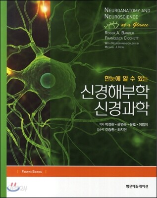 신경해부학 신경과학
