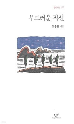 도종환 시집(18쇄) - 부드러운 직선