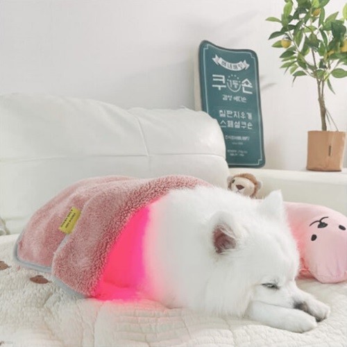 [펫스니즈] 강아지 고양이 디스크 슬개골 피부병 근적외선광치료기 펫큐어레이 커버-Q