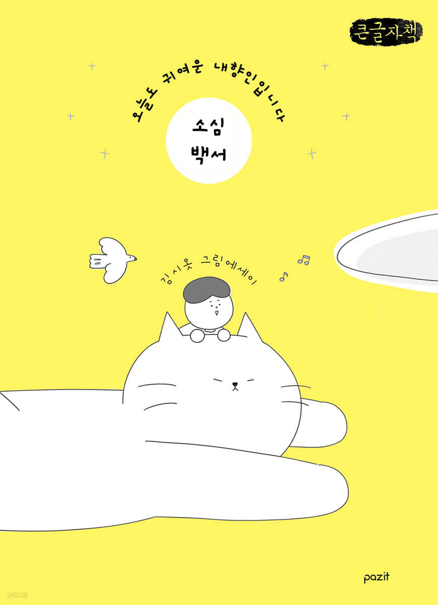 소심백서 (큰글자책)