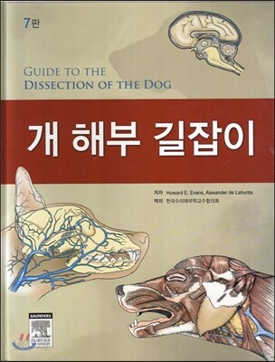 개 해부 길잡이