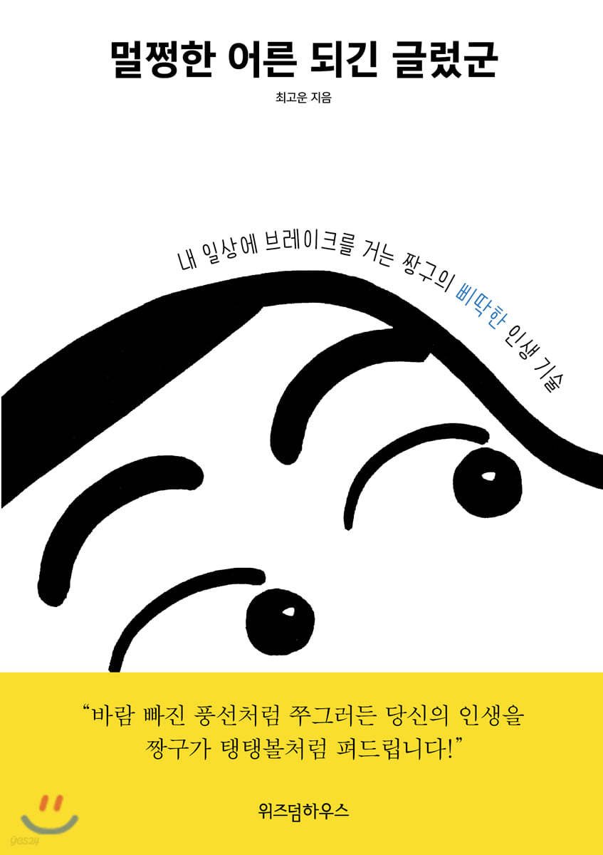 멀쩡한 어른 되긴 글렀군