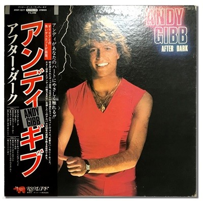 [일본반LP] Andy Gibb-After Dark
