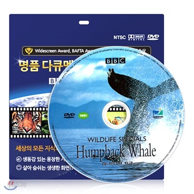 [BBC 다큐멘터리] 와일드라이프 스폐셜 - 혹등고래 DVD / 초슬림케이스 / 영,한 더빙 / 영한 자막
