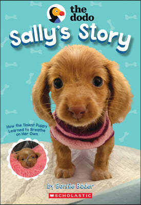 Sally's Story (the Dodo)