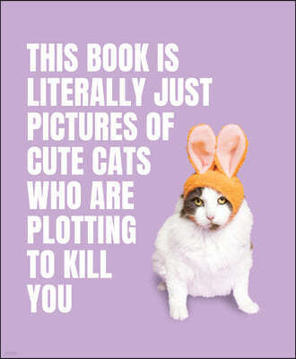 This Book Is Literally Just Pictures of Cute Cats Who Are Plotting to Kill You