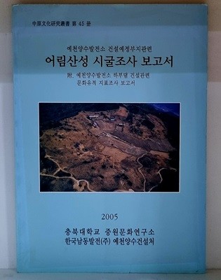 어림산성 시굴조사 보고서