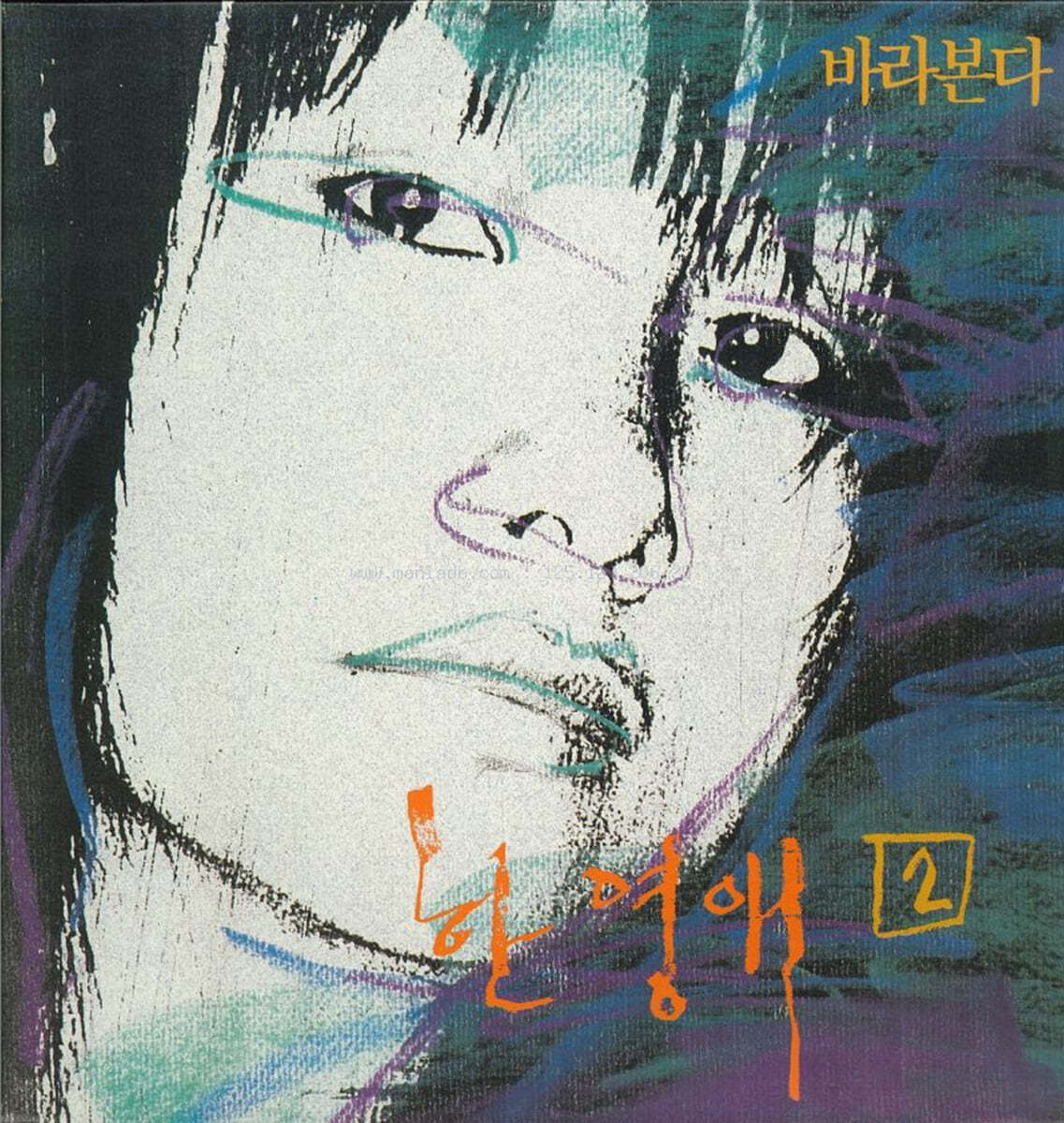 한영애 2집 - 바라본다 