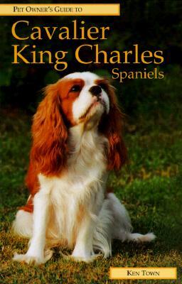 Cavalier King Charles Spaniel