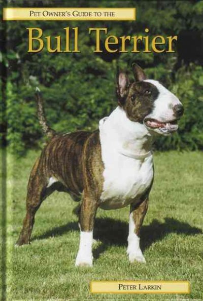Bull Terrier