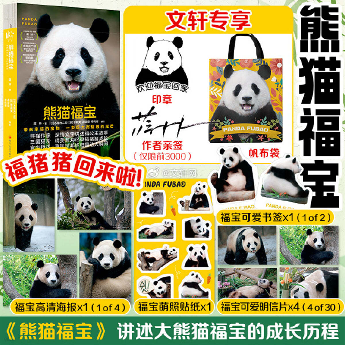 [원쉬안 서점 특전포함] 웅묘복보 熊猫福宝 판다 푸바오 사진집 (중국어판)