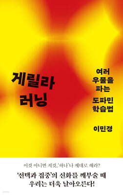 게릴라 러닝 : 여러 우물을 파는 도파민 학습법