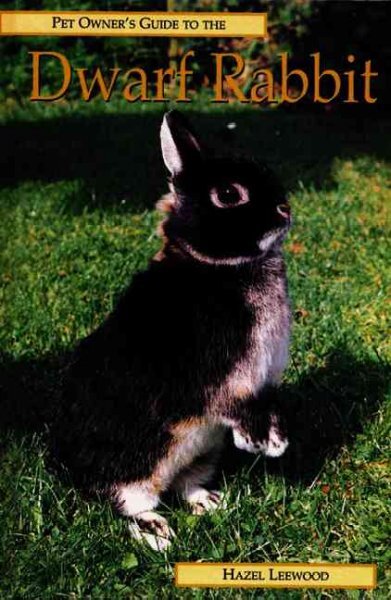 Dwarf Rabbit