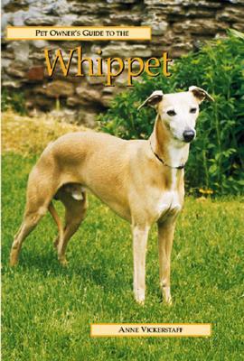 Pet Owner's Guide to the Whippet