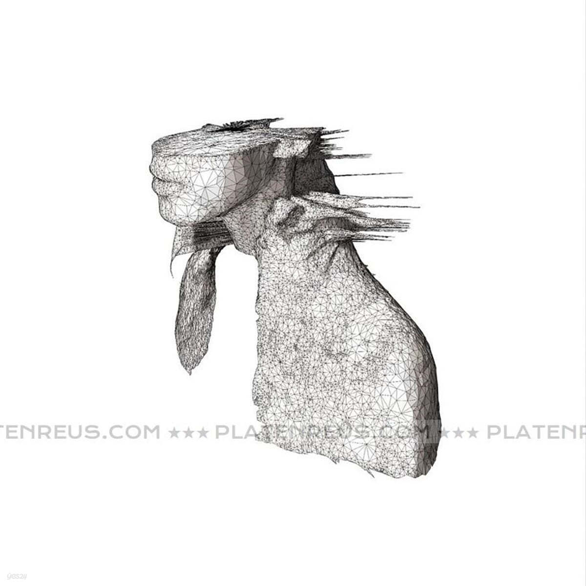 Coldplay (콜드플레이) - 2집 A Rush of Blood to the Head [에코 블랙 컬러 LP]