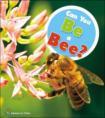 Can You Be a Bee?