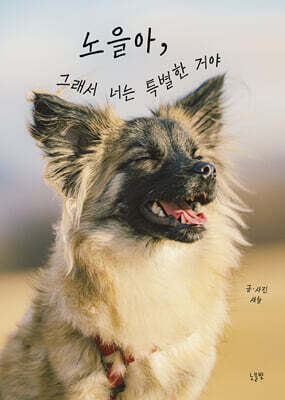 책 정보