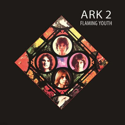 Flaming Youth (÷ ) - Ark 2 [ȭƮ ÷ LP]