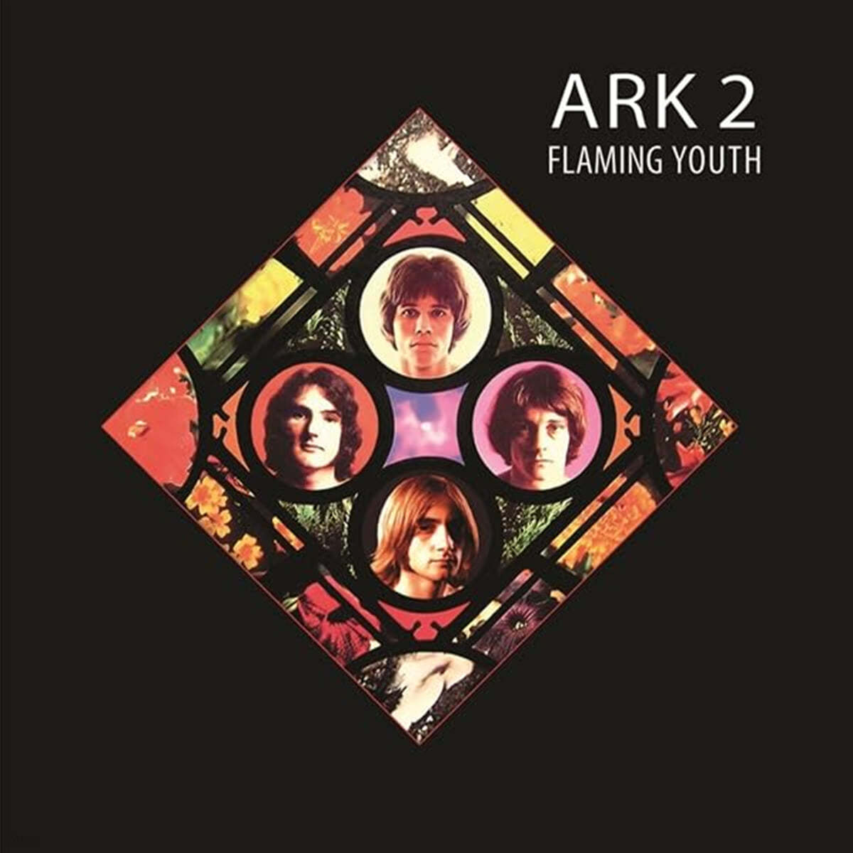 Flaming Youth (플레밍 유스) - Ark 2 [화이트 컬러 LP]