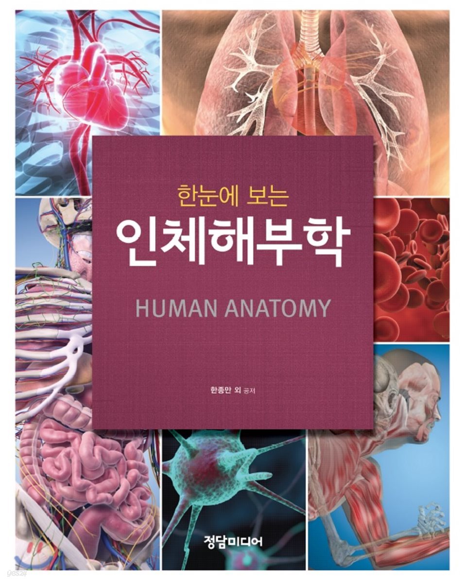 한눈에 보는 인체해부학  **절반 앞쪽으로는 메모가 많습니다  뒤쪽으로는 드문드문 메모가 있습니다**