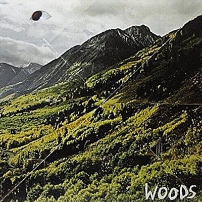 [LP] Woods 우즈 - Songs of Shame
