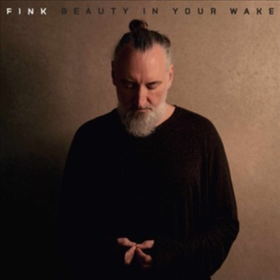 Fink - Beauty In Your Wake (Digipack)(CD)