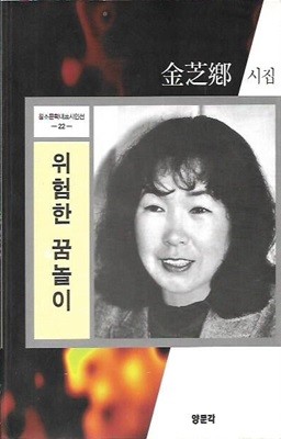 위험한 꿈놀이 : 김지향 시집