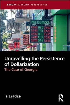 Unravelling The Persistence of Dollarization