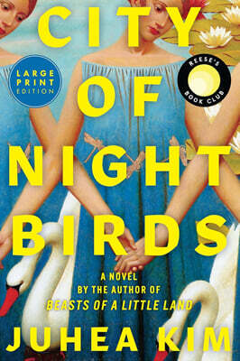 City of Night Birds