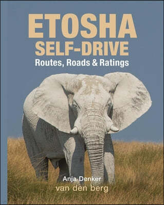 Etosha Self-Drive: Routes, Roads & Ratings
