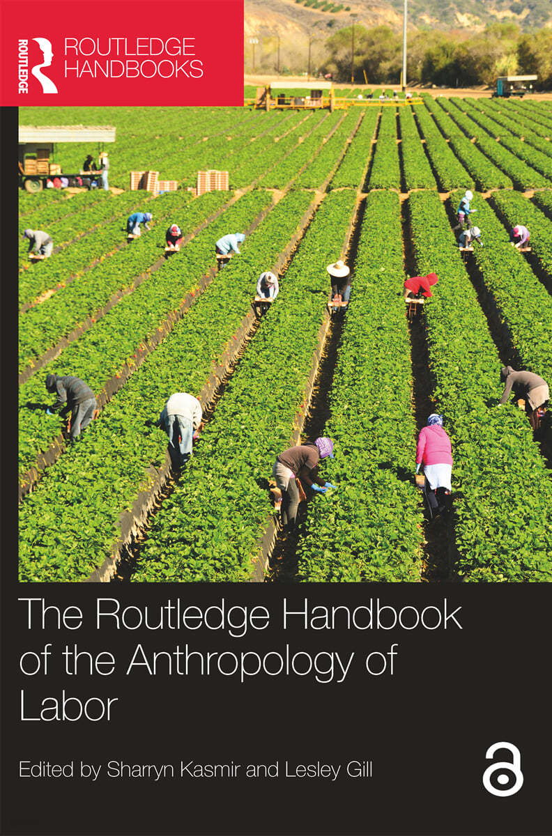 Routledge Handbook of the Anthropology of Labor