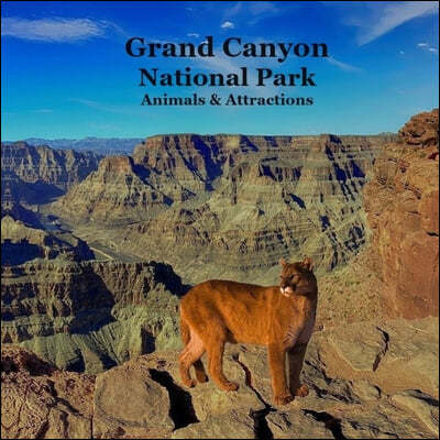 Grand Canyon Park Animals and Attractions Kids Book: Great Way for Kids to See the Grand Canyon National Park