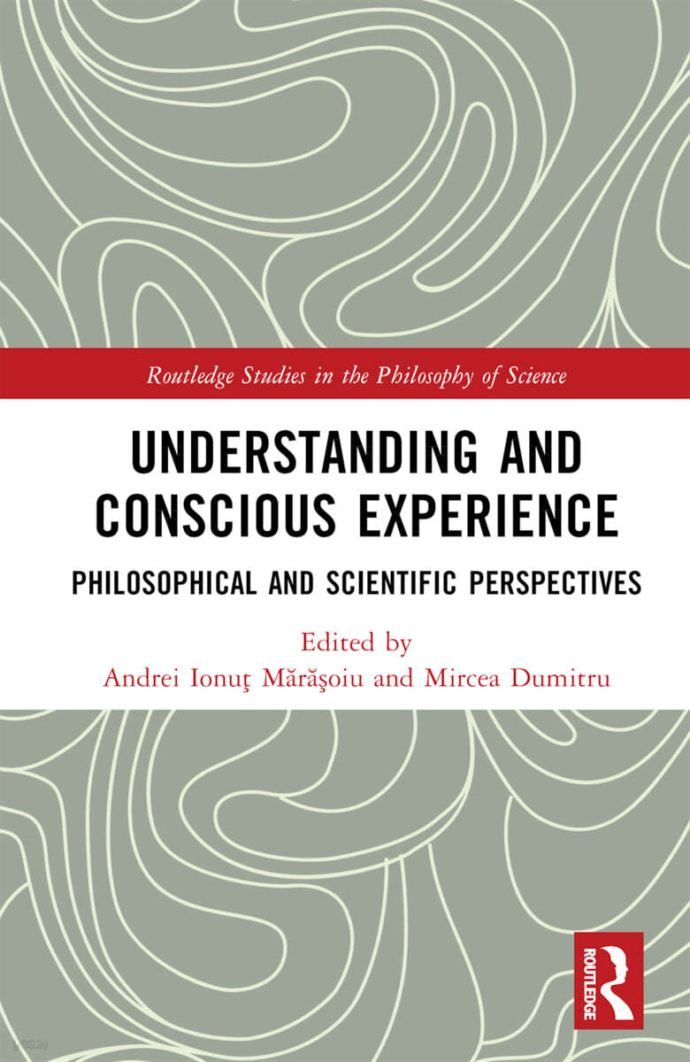 Understanding and Conscious Experience